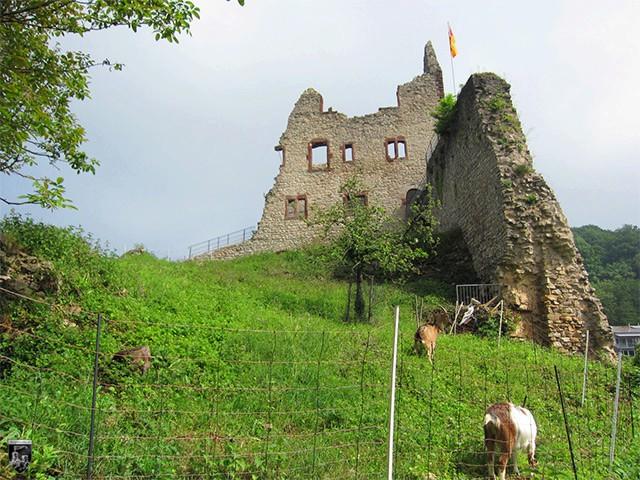 Landeck (Ruine, Spornburg) Burgenarchiv.de
