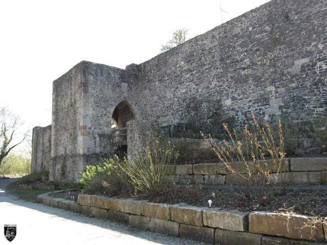 Hohenburg, HombergEfze (Ruine, Gipfelburg) Burgenarchiv.de