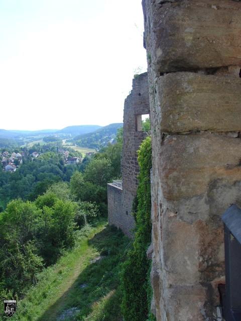 Altleiningen, Alt Leiningen (Burg, Spornburg) Burgenarchiv.de