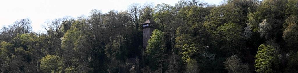 Burg Dauchstein Burg Dauchstein