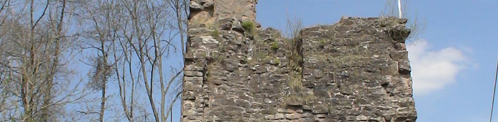 Burg Sterneneck, Sterneck Burg Sterneneck, Sterneck