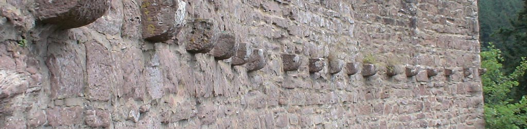 Burg Stolzeneck Burg Stolzeneck